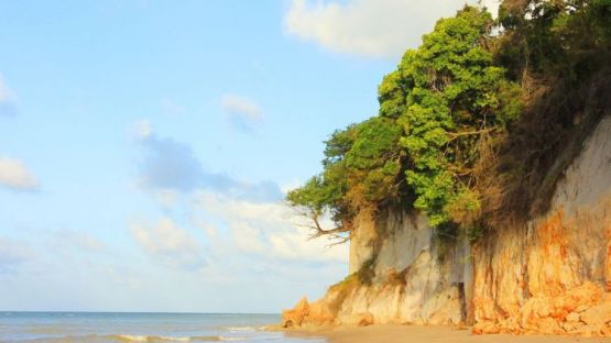 TOUR BUGGY (BARRA DE GRAMAMA &ndash; PRAIA DO AMOR - TAMBABA &ndash; COQUEIRINHO)