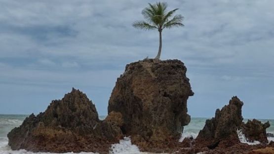 TAMBABA & COQUEIRINHO &ndash; LITORAL SUL